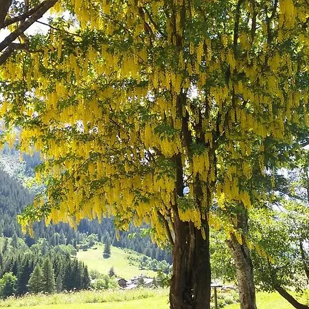 Fridau Gressoney-Saint-Jean