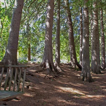 Fridau غريسوني سان جان